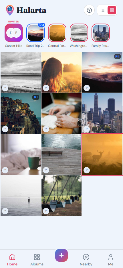 Halarta Home feed in grid view on mobile